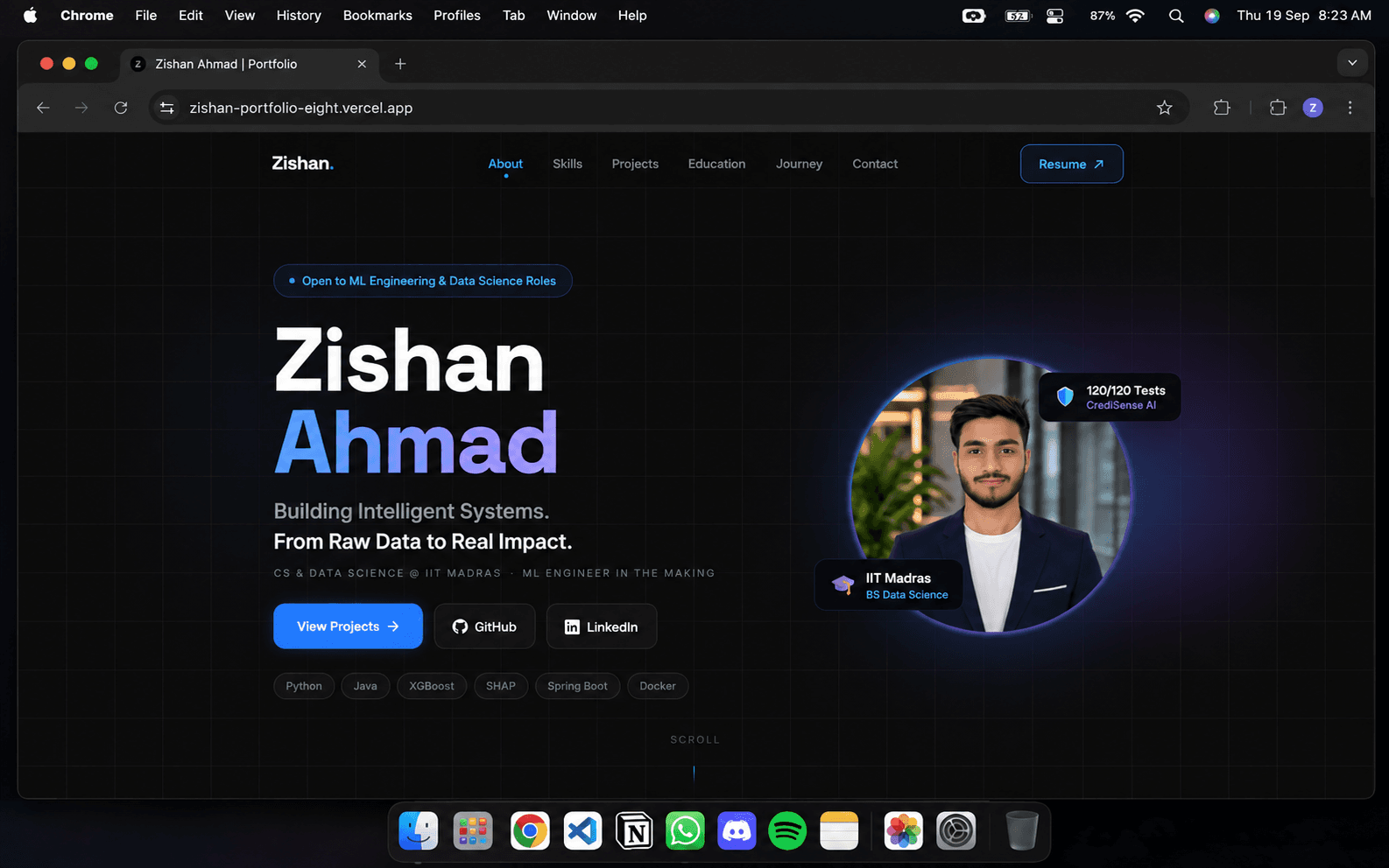 Old Portfolio home page — an animated hero reading 'Building Intelligent Systems, from raw data to real impact', with navigation across About, Skills, Projects, Education, Journey, and Contact